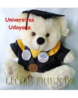 Boneka Wisuda Universitas Udayana - Teknik (30 cm)